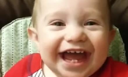 BEST Babies Laughing Videos Compilation