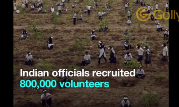 How Did India Plant 50 Million Trees In One Day