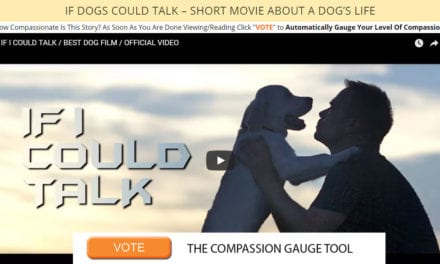 If Dogs Could Talk – Short Movie About a Dog’s Life