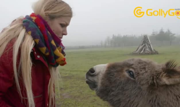 Donkey and Woman Who Both Lost Children Celebrate Their Emotional Journey