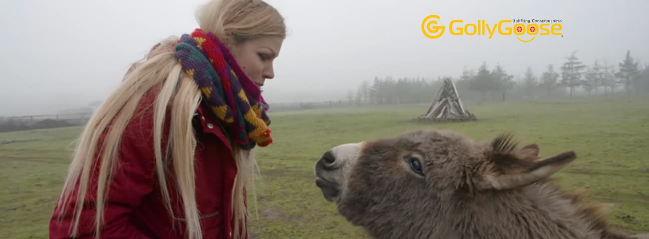 donkey-and-woman-who-both-celebrate-their-emotional-journey