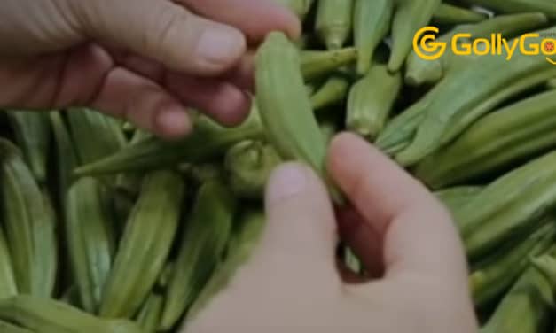 This Is What Happens To Your Body When You Eat Okra Every Day
