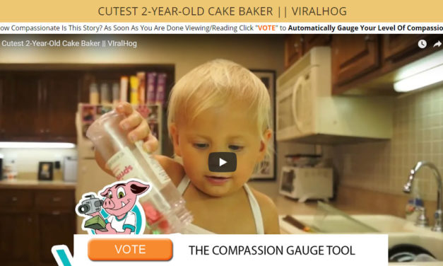 Cutest 2-Year-Old Cake Baker – VIralHog