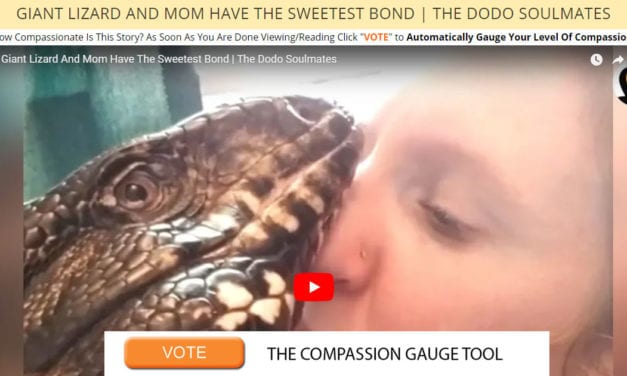 Giant Lizard And Mom Have The Sweetest Bond | The Dodo Soulmates