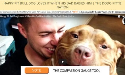 Happy Pit Bull Dog Loves It When His Dad Babies Him | The Dodo Pittie Nation