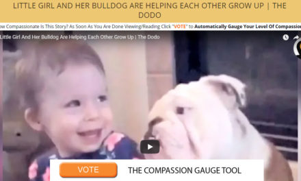 Little Girl And Her Bulldog Are Helping Each Other Grow Up | The Dodo