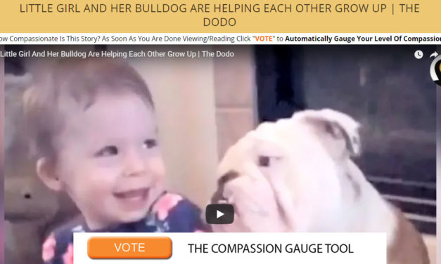 Little Girl And Her Bulldog Are Helping Each Other Grow Up | The Dodo