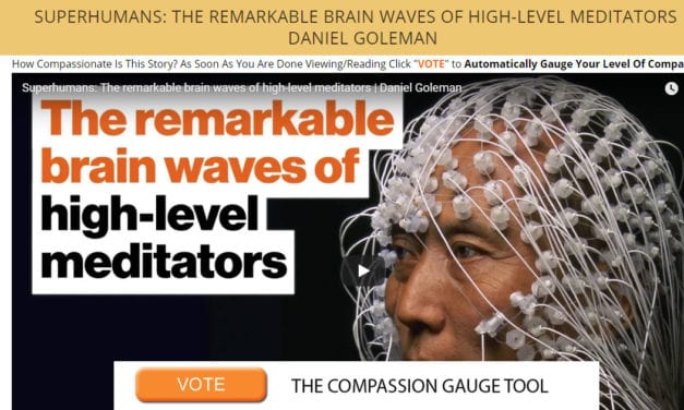 Superhumans: The Remarkable Brain Waves Of High-level Meditators | Daniel Goleman